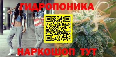 гидра Бийск