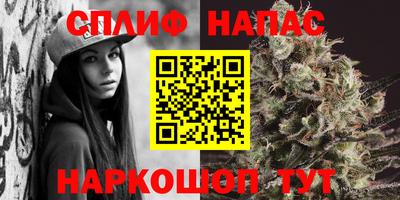 сатива Беслан